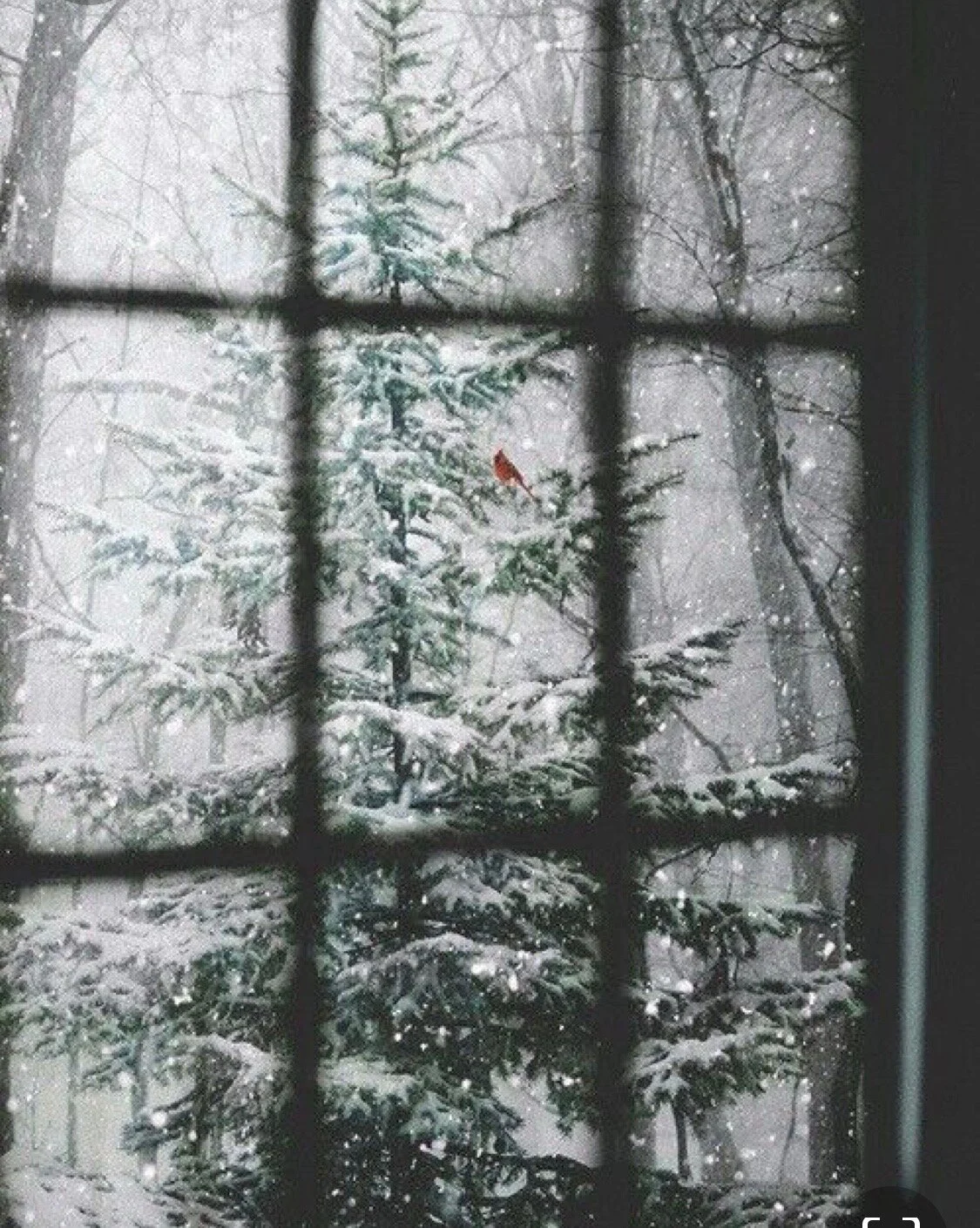 The Holidays - A Time to Slow Down