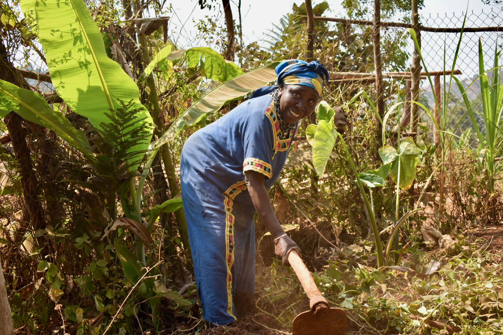 PFP Congo_July201800018.png