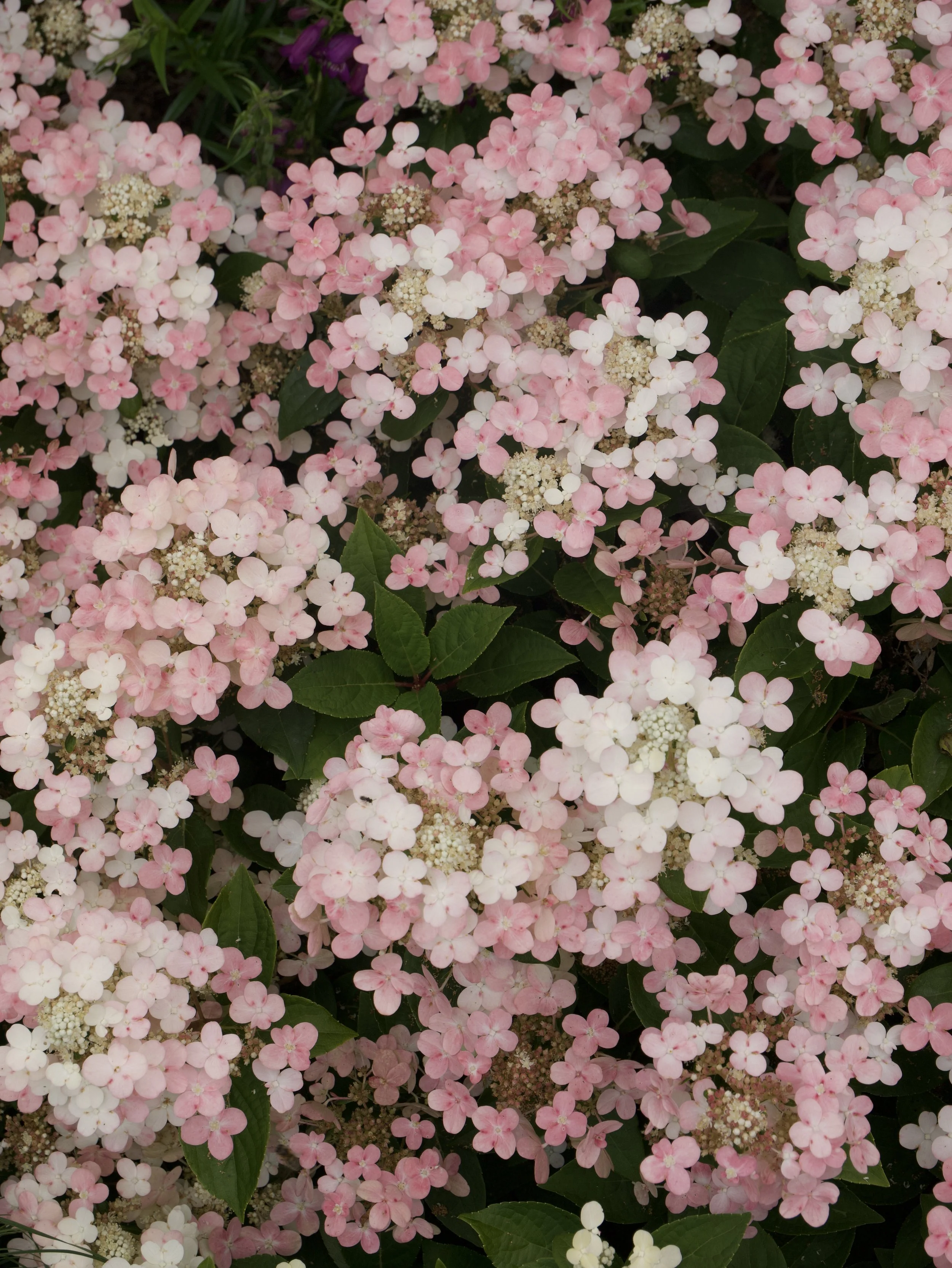 P1048008