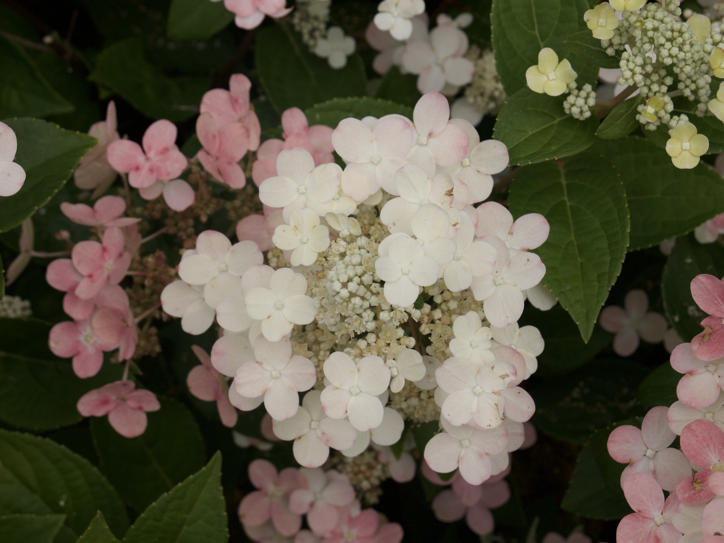 P1048053