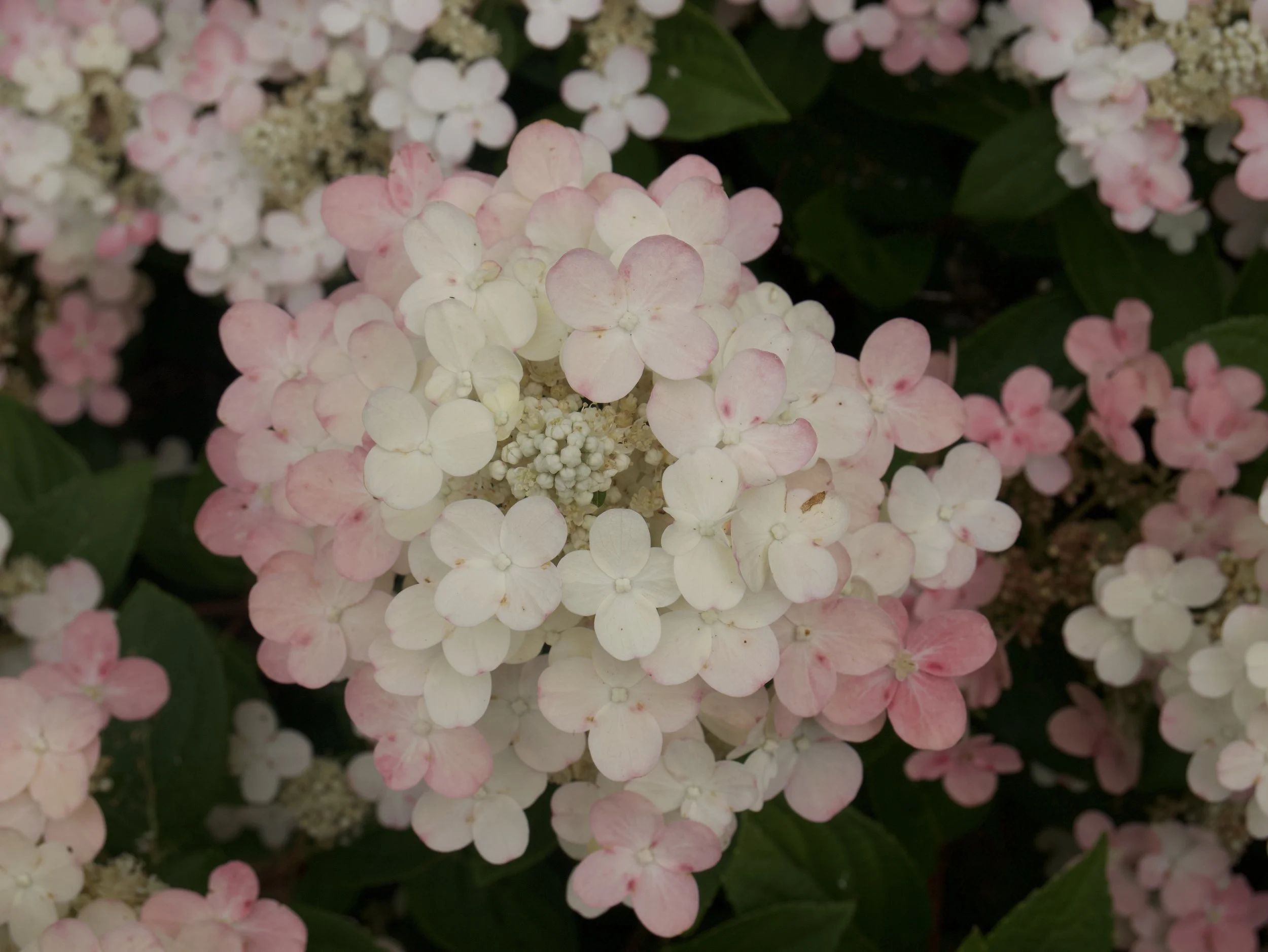 P1048054