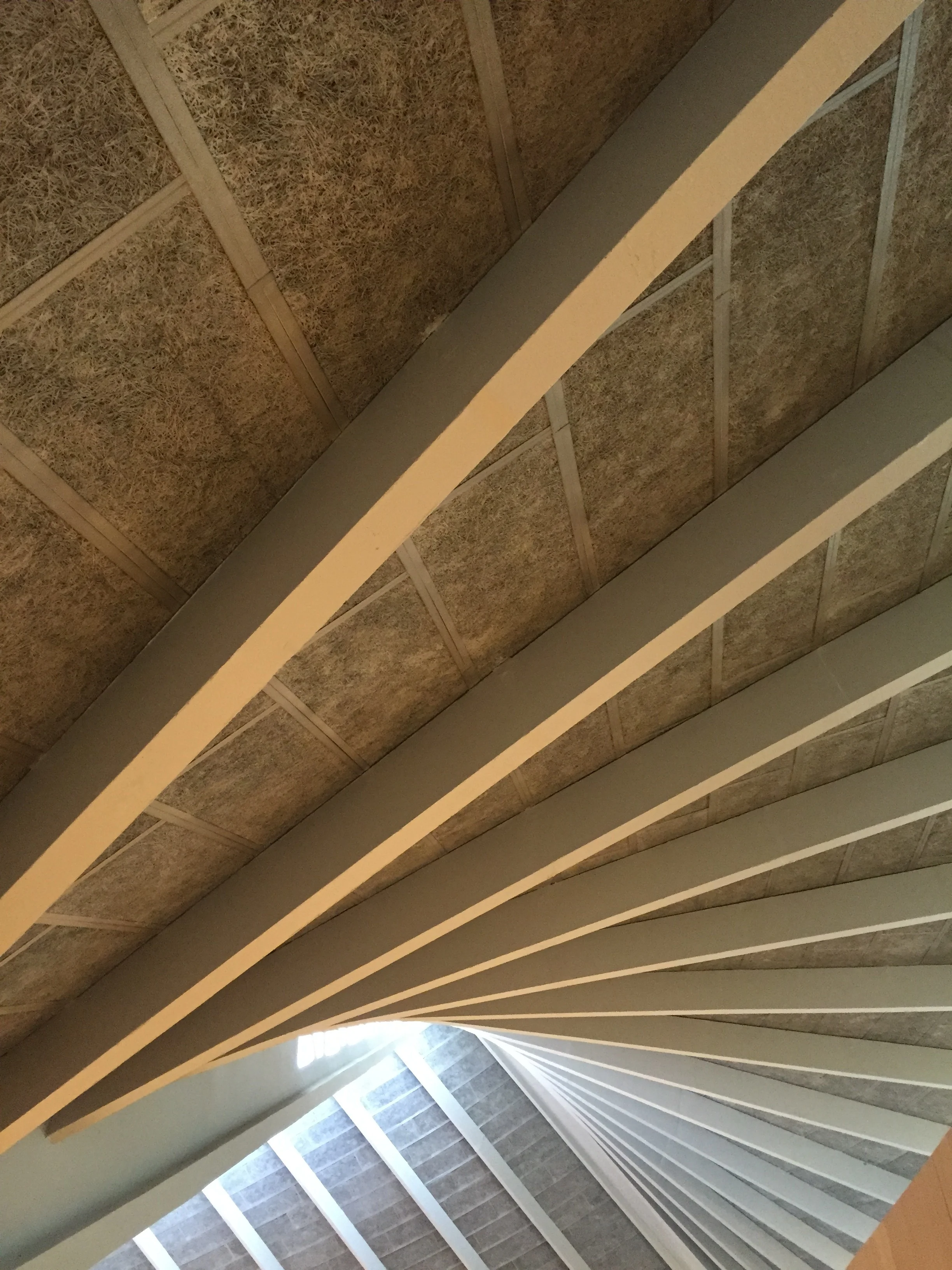 designmuseum.jpg
