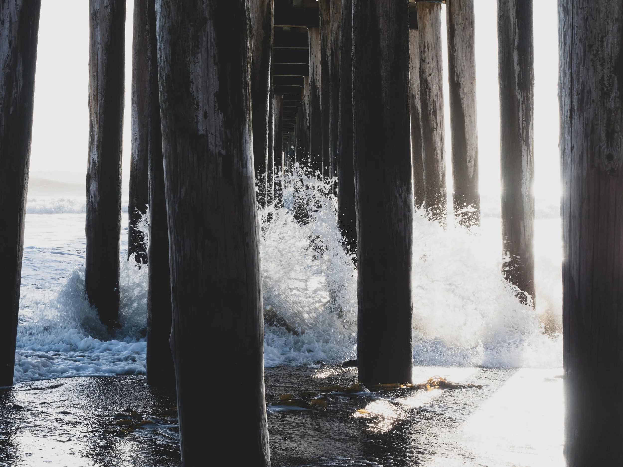 Hueneme Patient Collective Demo Day