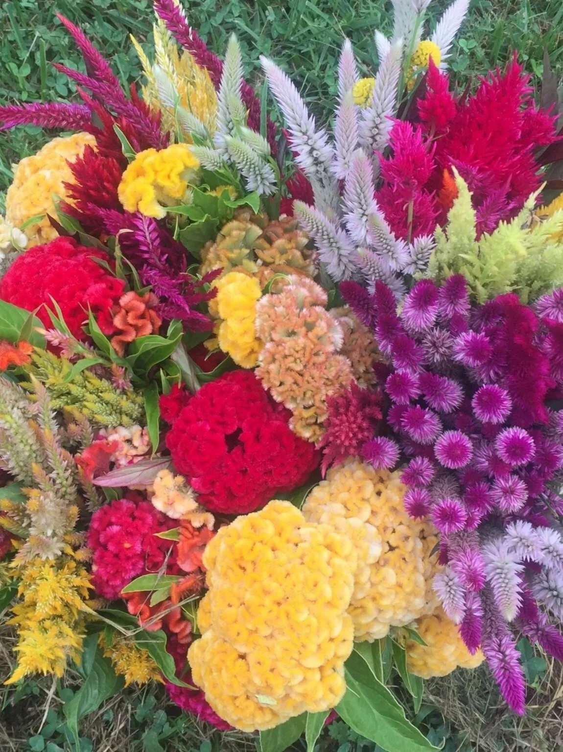 U-Pick Flower Nights at Curly Girl Farm (July-September, 6-8pm)