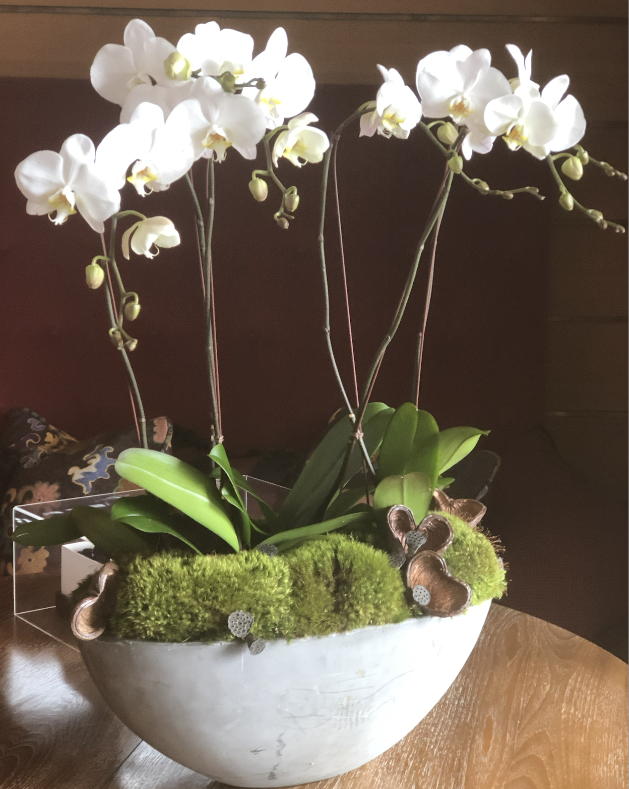 Screenshot 2025-02-03 at 7.49.32 PM.png