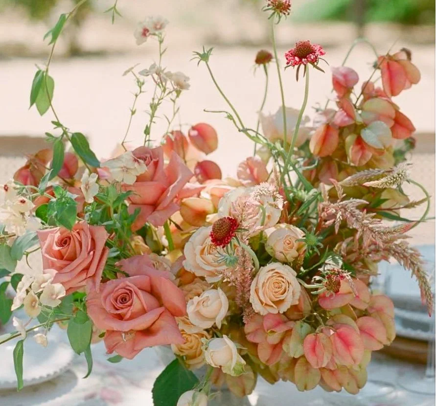 View recent photos 6.jpeg