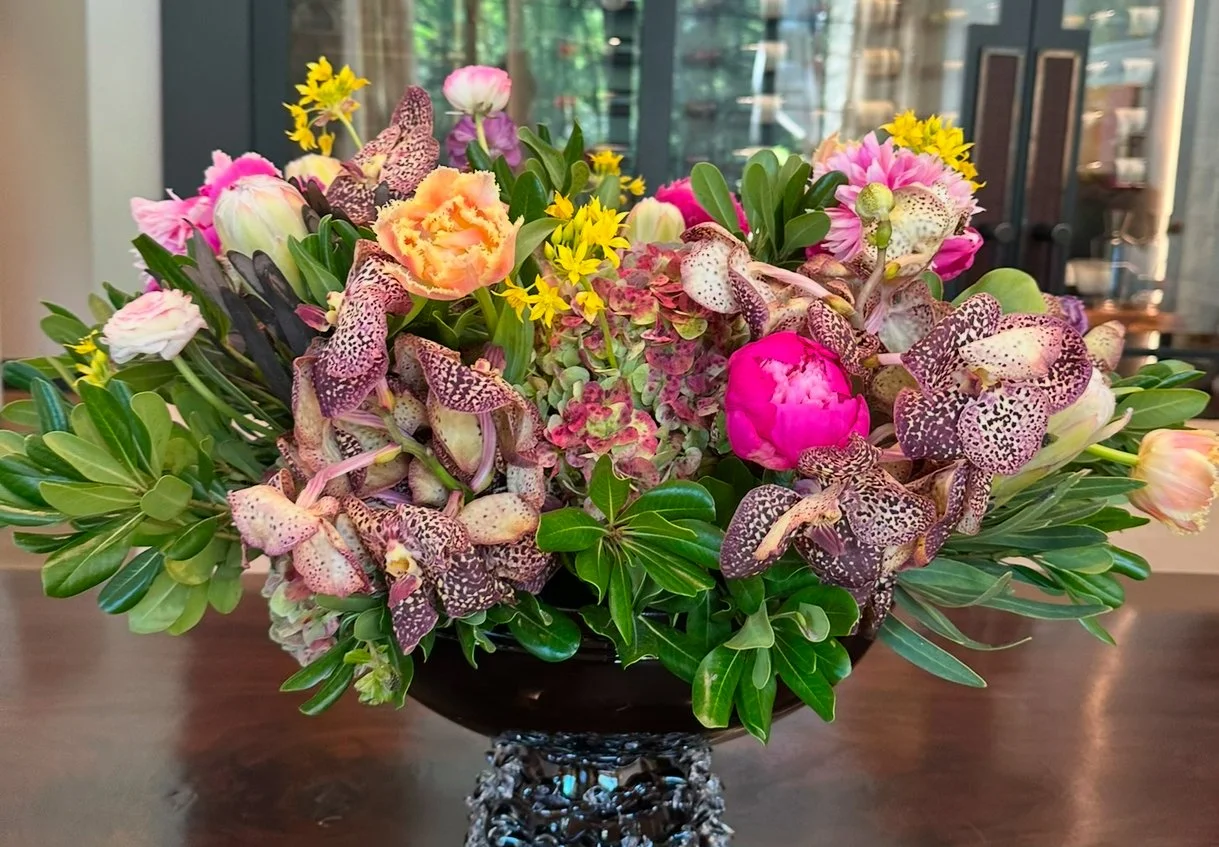 View recent photos 4.jpeg