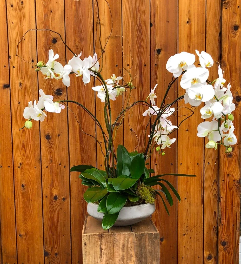 View recent photos 3.jpeg