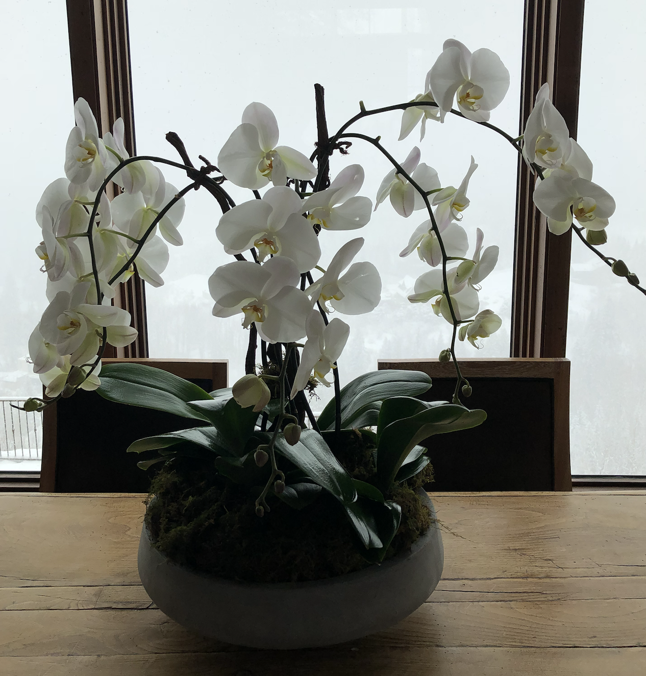 Screenshot 2025-02-04 at 9.46.41 AM.png