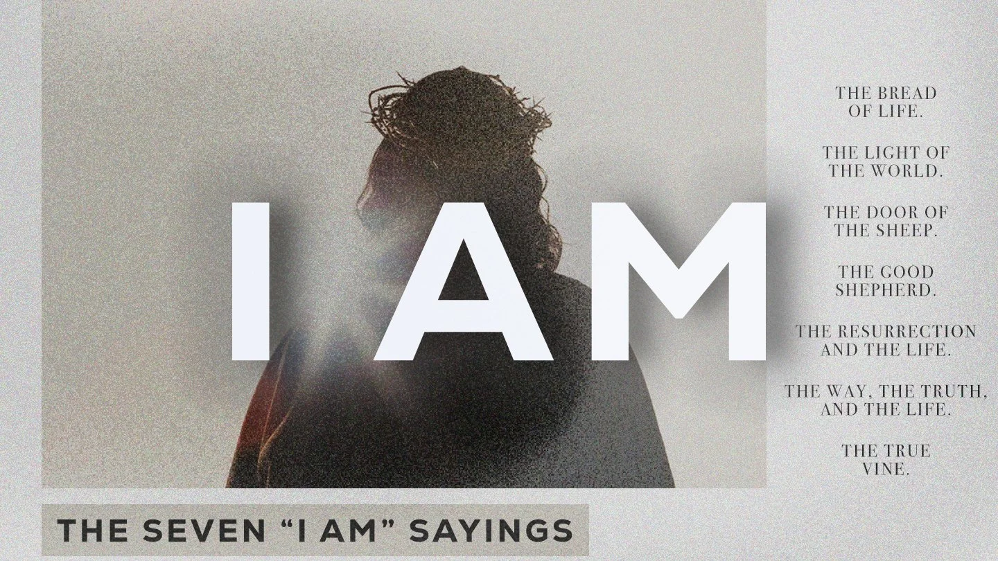 IAM_MainSeriesGraphic.jpg
