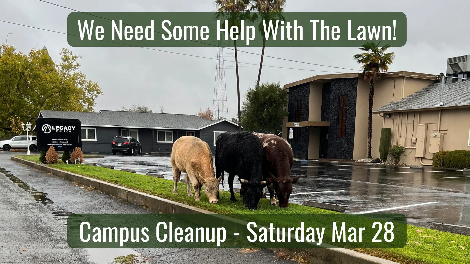 Campus Cleanup