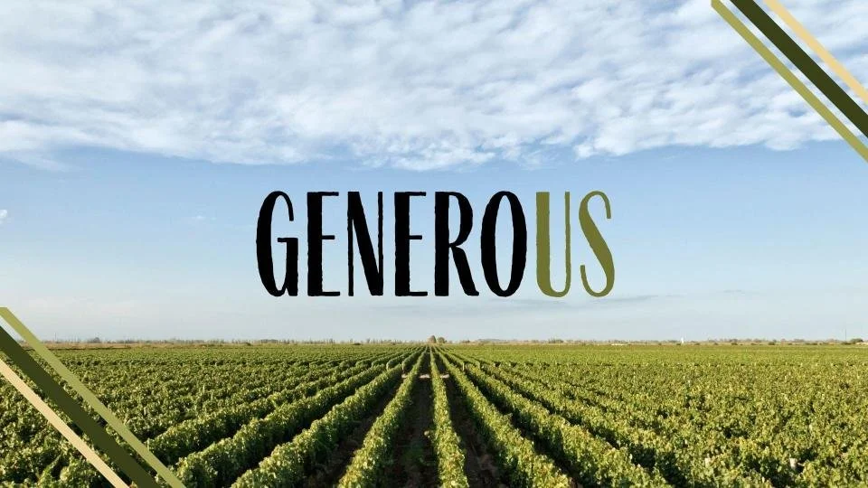 Money, Money, Money!.jpg