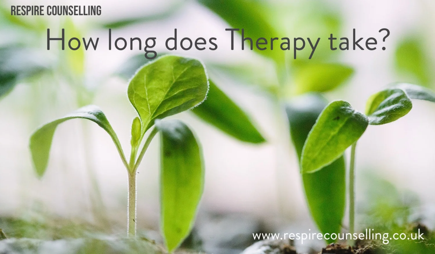 How long does therapy take?.jpg