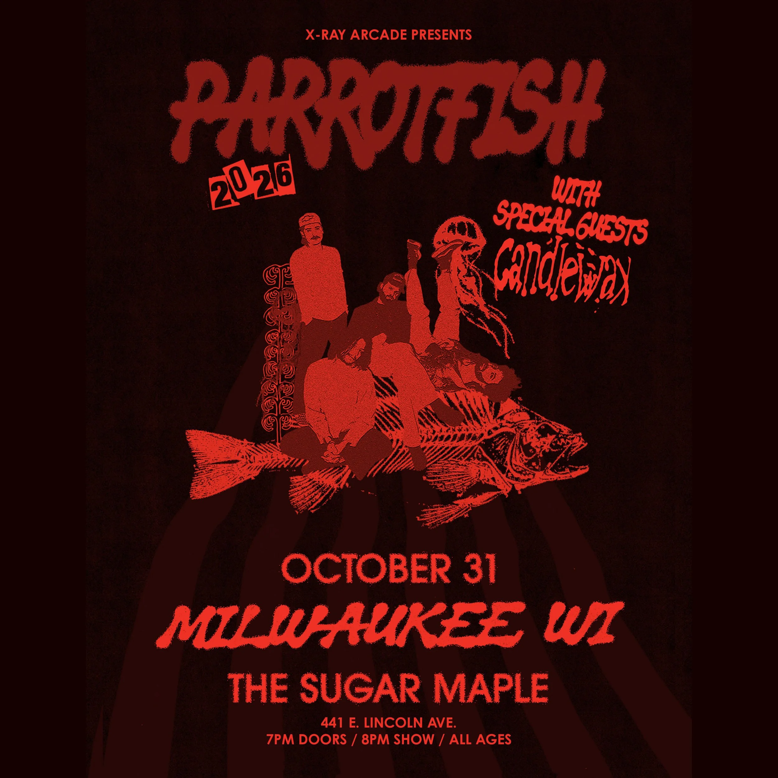 @ Sugar Maple: Parrotfish / Candlewax