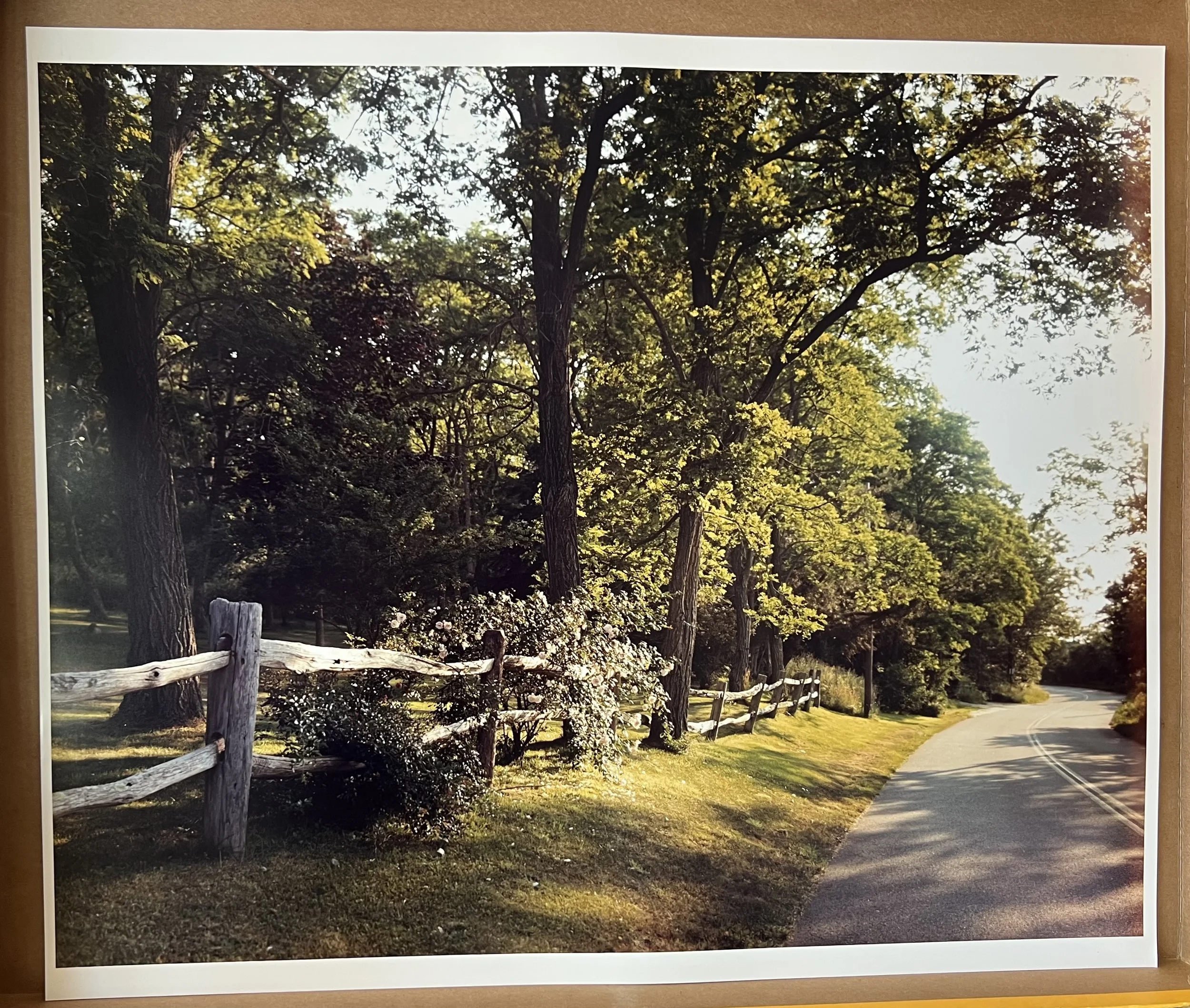 IMG_3020.jpeg
