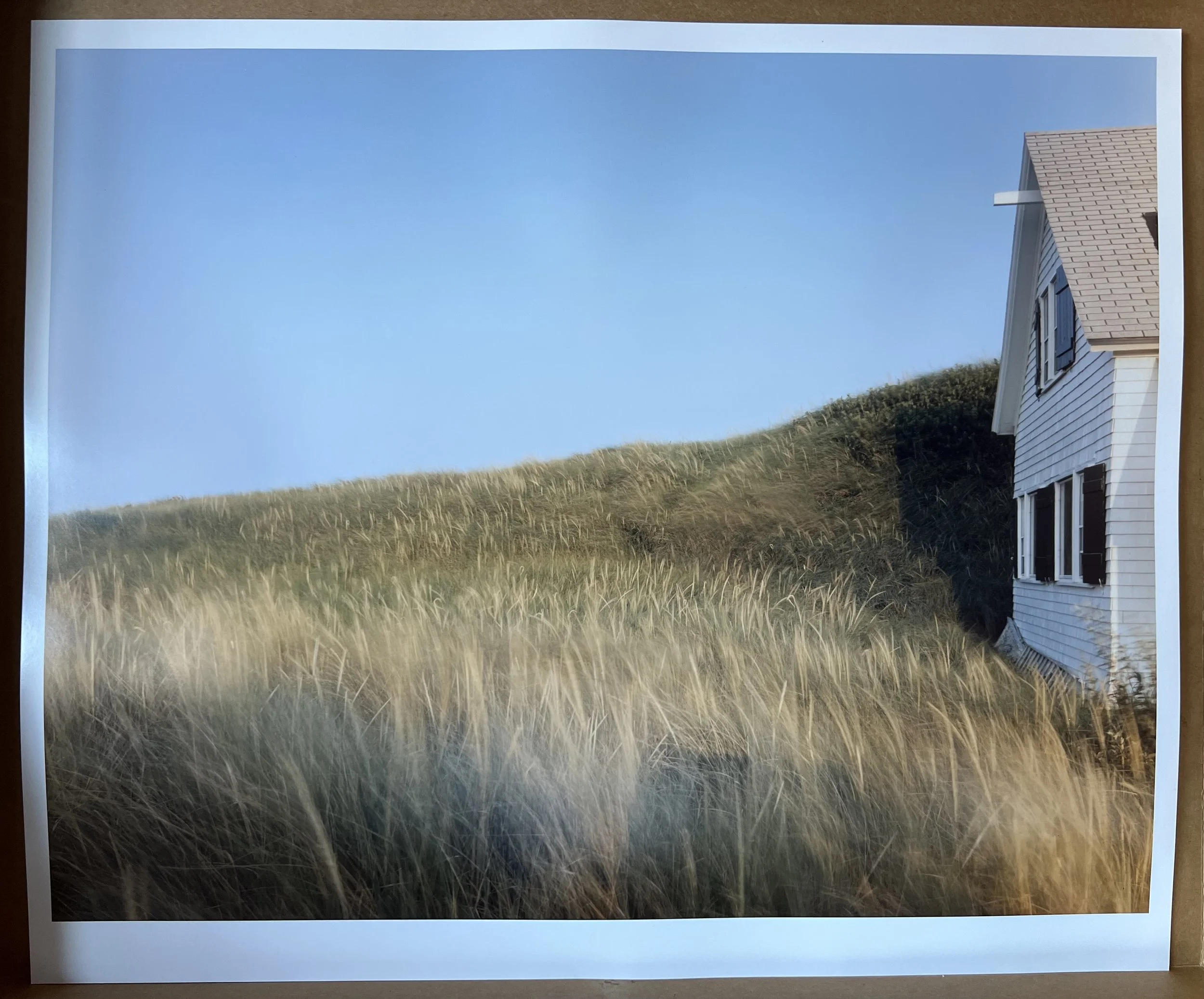 Dune grass, house, Truro, MA, 1984