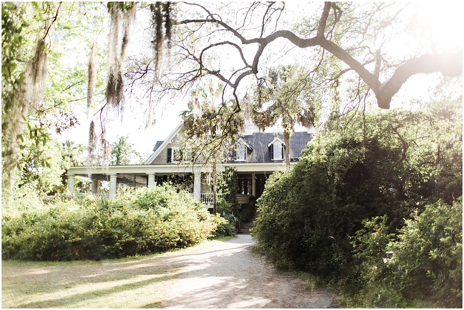 Magnolia Gardens Wedding, Charleston, SC_Erin L. Taylor Photography_0033.jpg