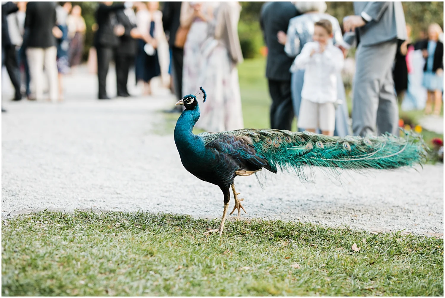 Magnolia Gardens Wedding, Charleston, SC_Erin L. Taylor Photography_0067.jpg
