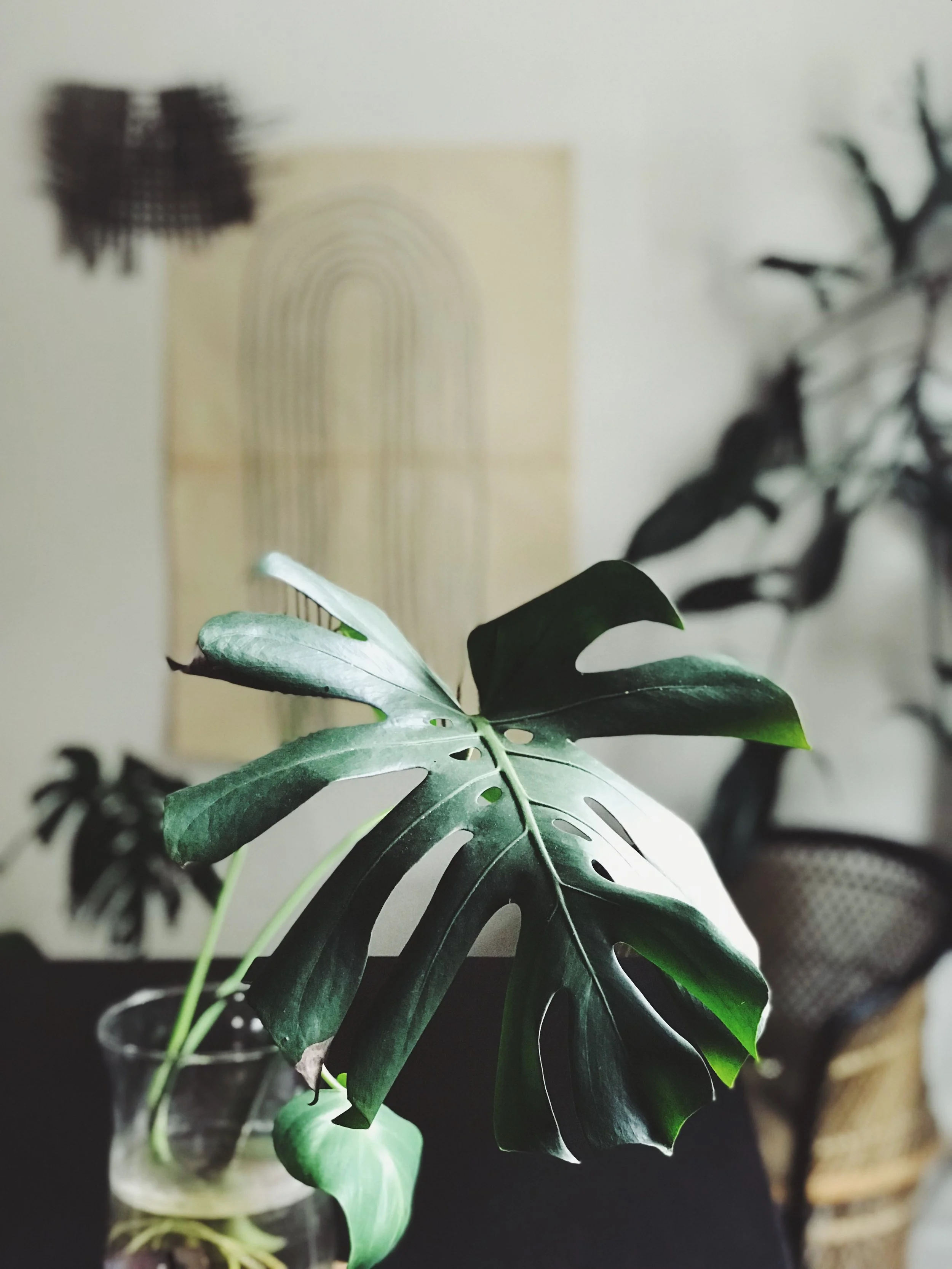 W STATE  |  ATHENS, OH