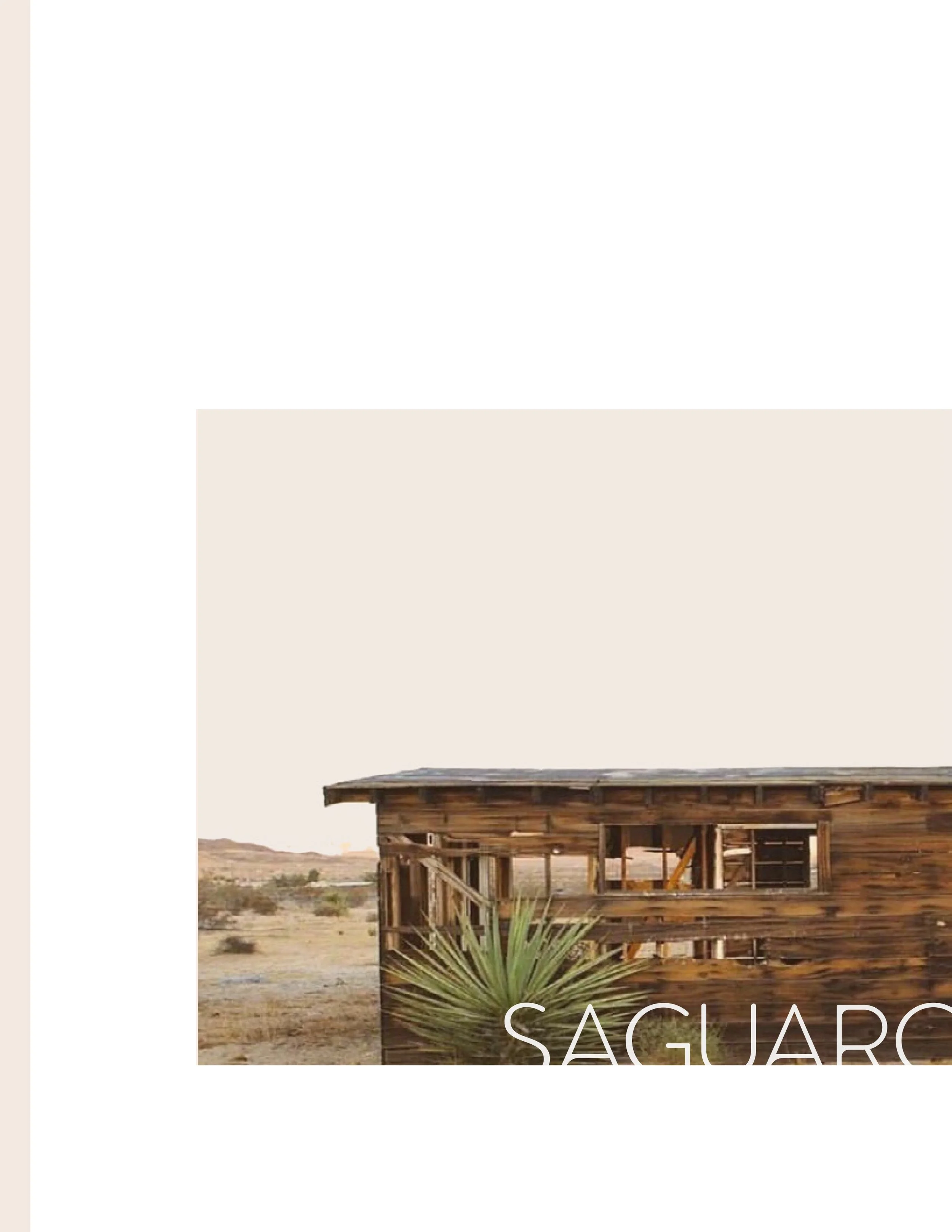 saguaro-lookbook_FW19-1.jpg