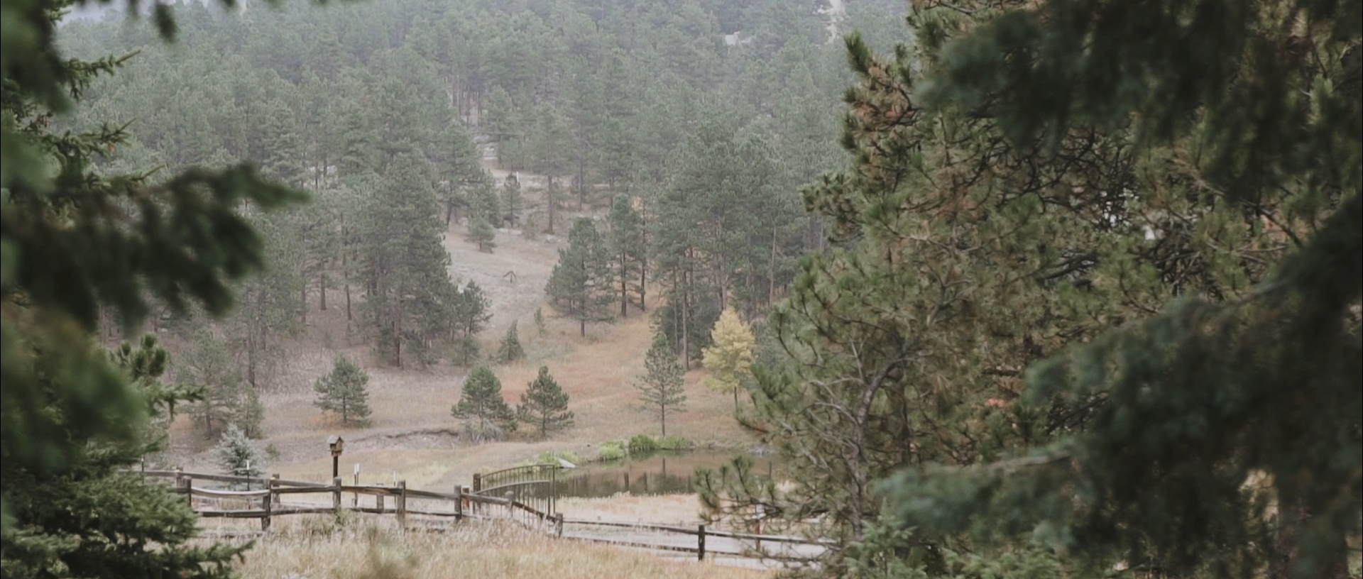 Hartness Home Loans.mp4.00_00_33_05.Still007.png