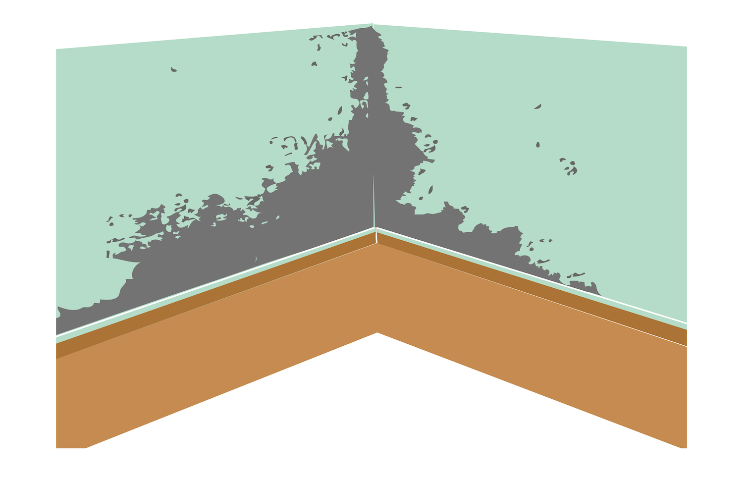 Mold Damage Graphic.png