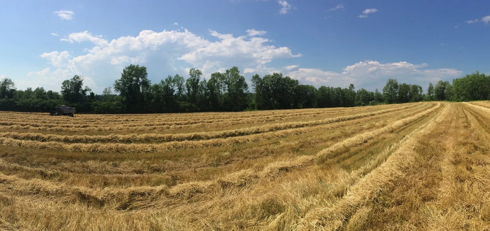 iPhone+panos-14.jpg