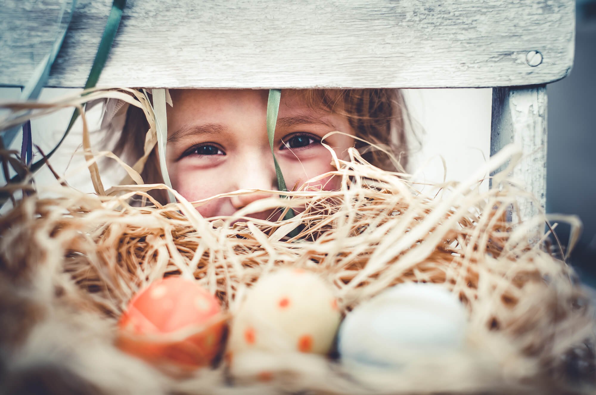 AdobeStock_79491391 (1).jpg