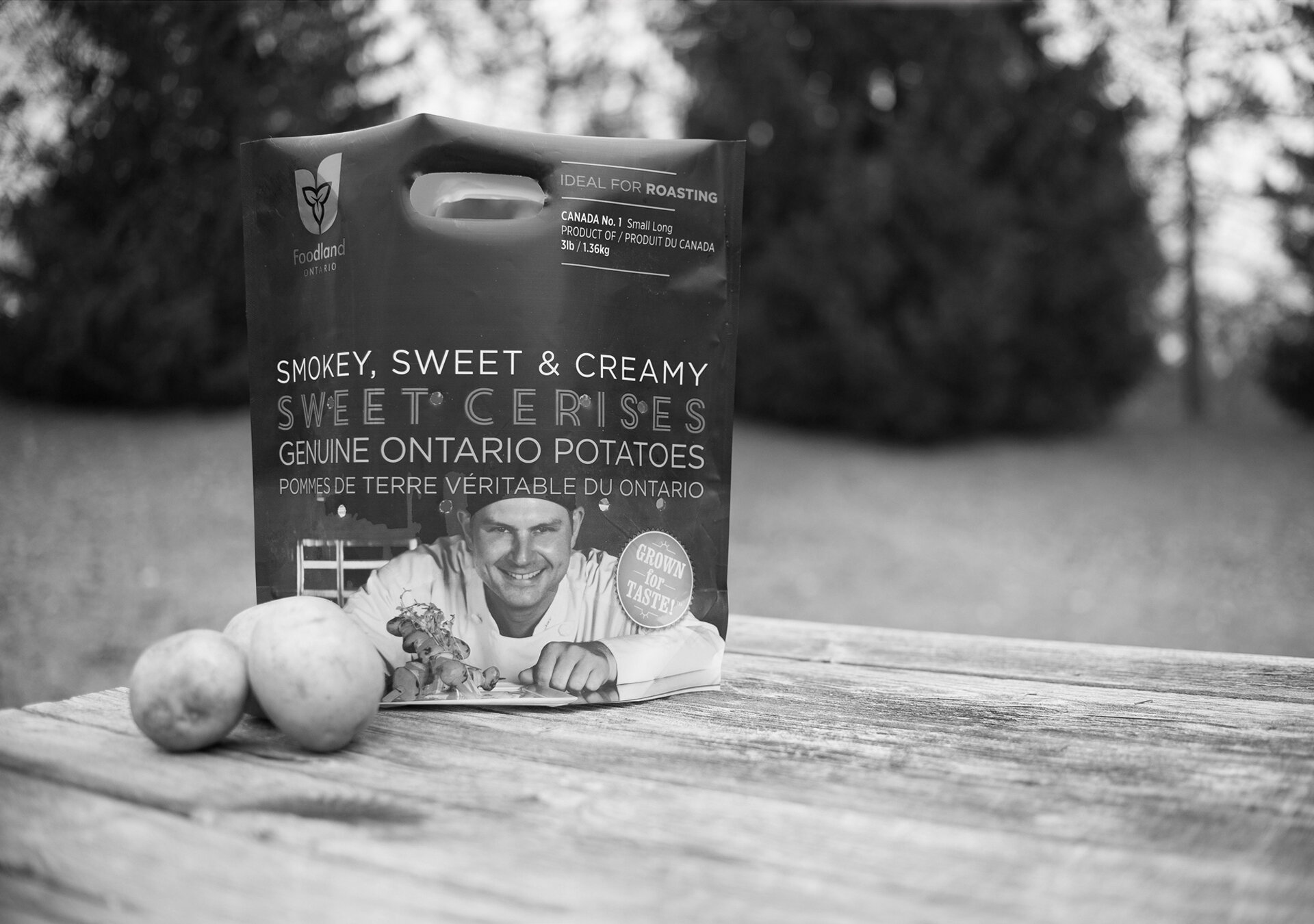 Touchwood_bistro_potatoes_testBW.jpg