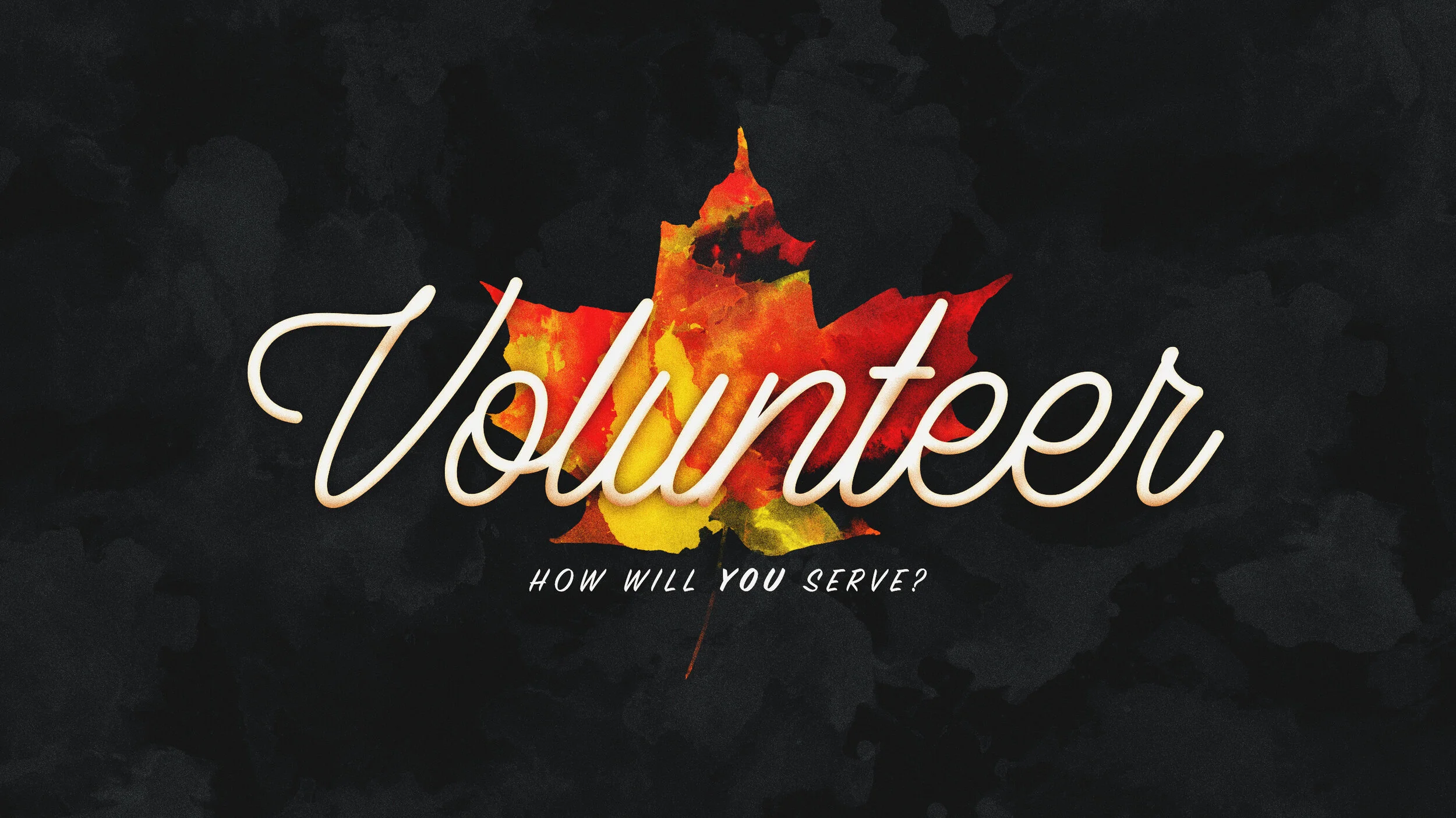 Volunteer — Belton Church of Christ