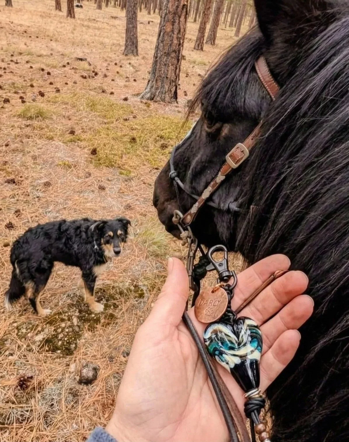 a hand holding a custom 'Living Glass' heart memorial touchstone on a horse tack,riding a horse on a forest trail with a dog nearby