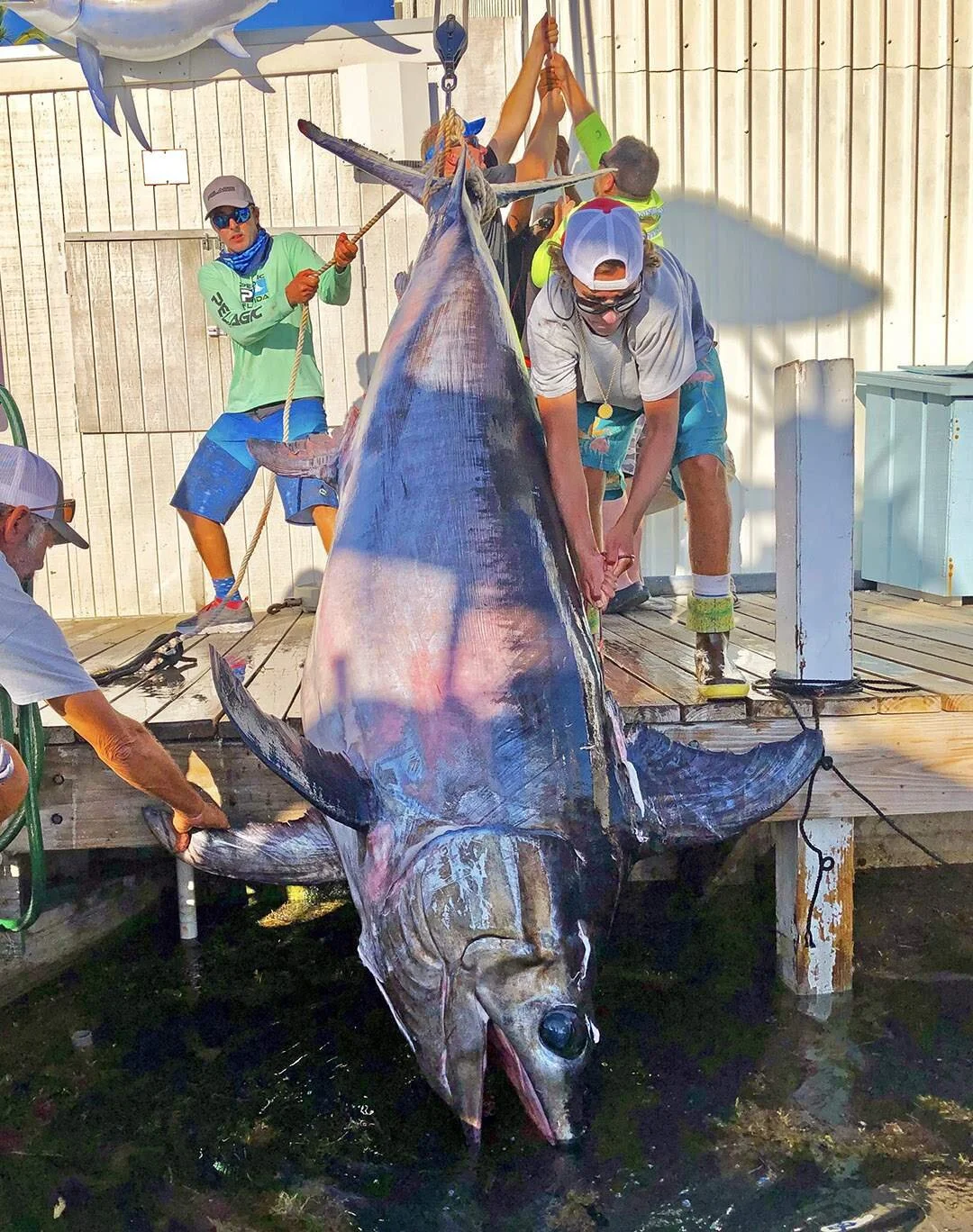 "Economies of Scale": My Awesome New Movie Idea   