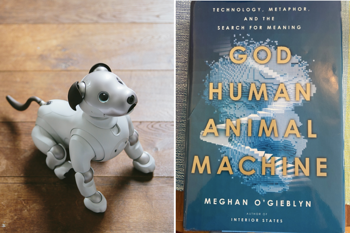 Exclusive Interview With Famous Author Meghan O'Gieblyn About A.I. and Other Things