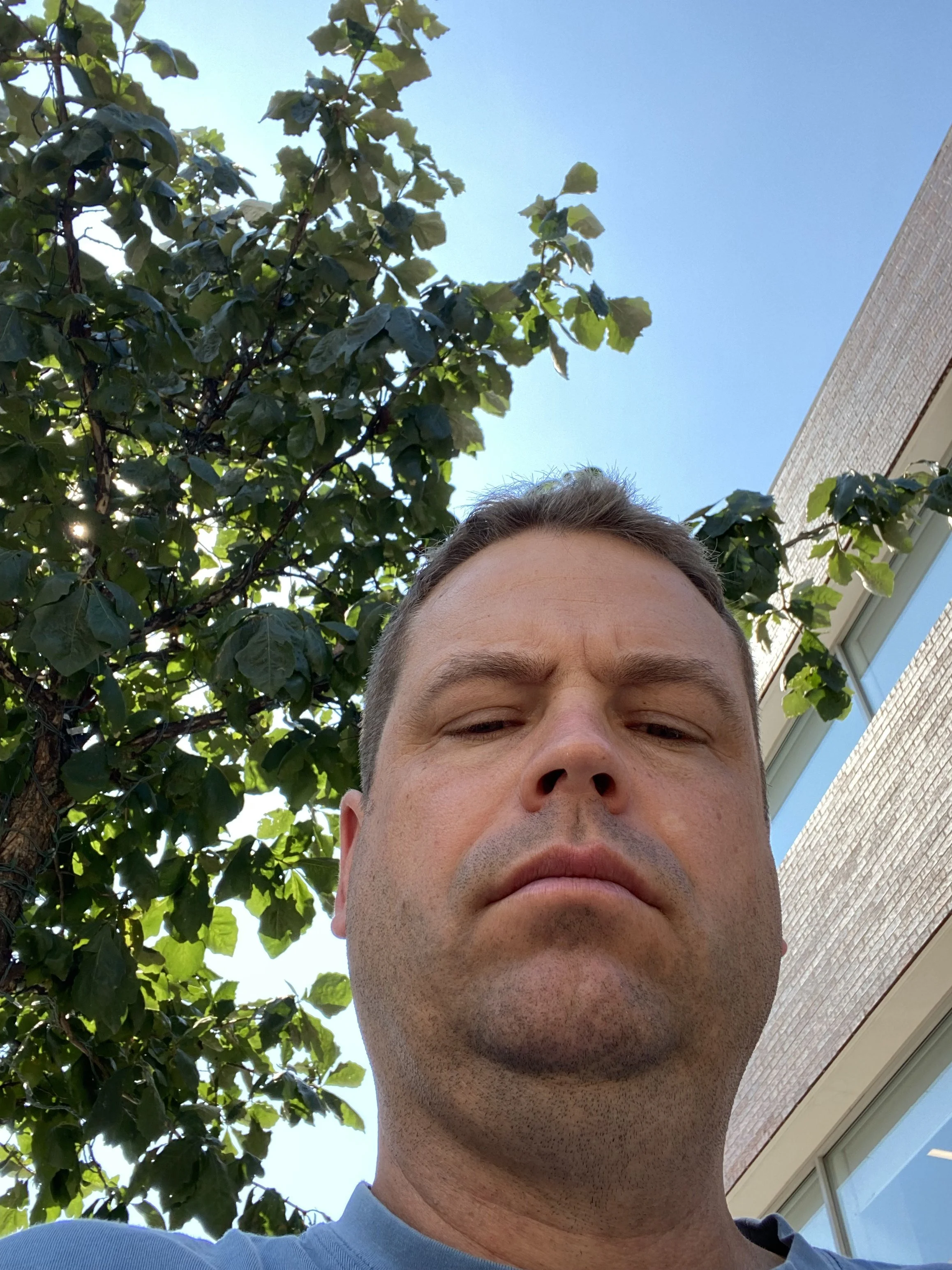 it's me looking down  with tree in background