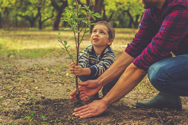 Child+and+Growing+Tree.jpg