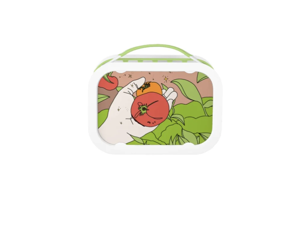 lunch boxes.004.jpeg