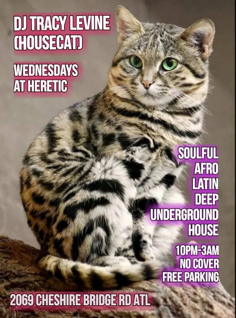 WarpZone Wednesdays: DJ Tracy Levine at Heretic Wednesday, Jun 24, 2026