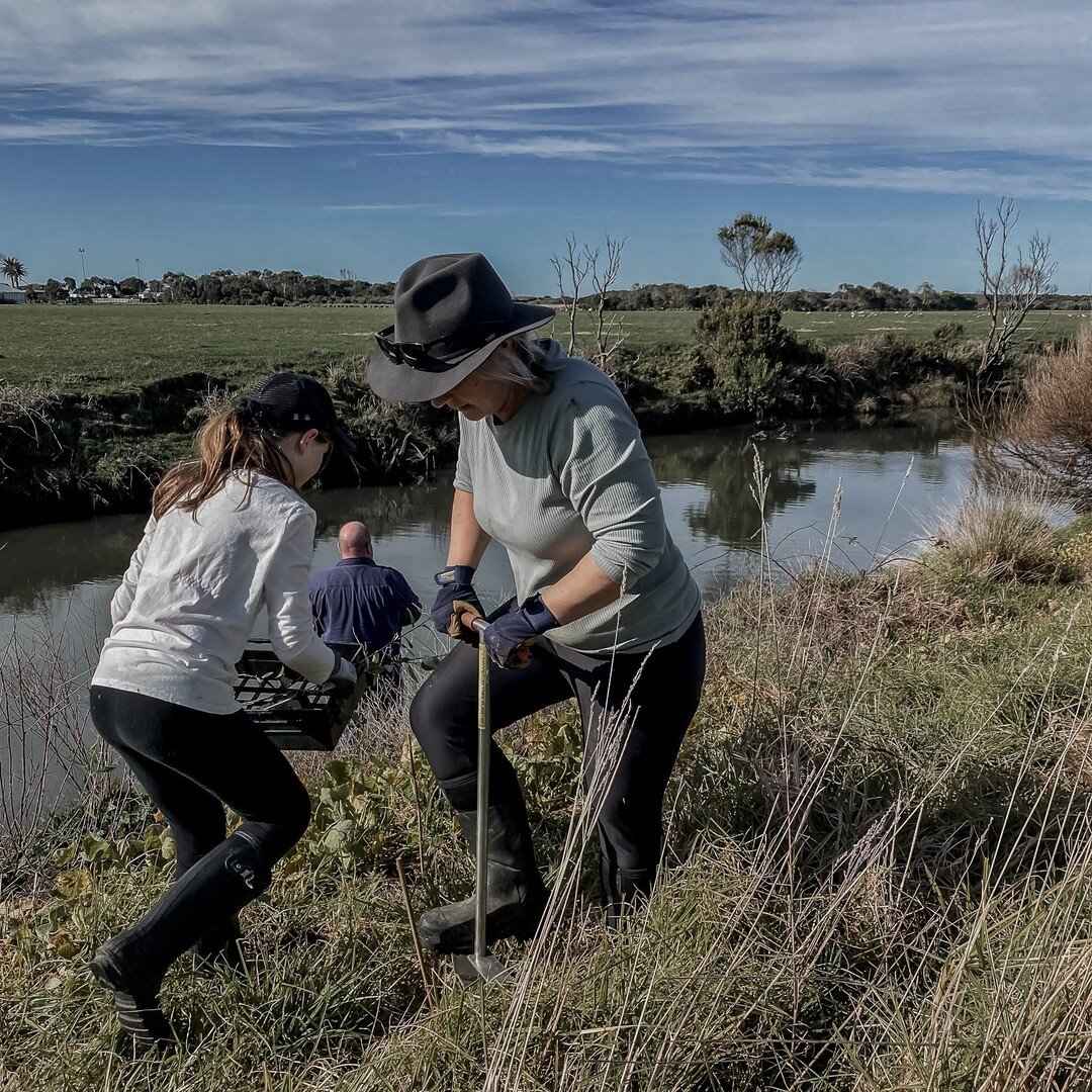 That fresh air feeling! 🙌

Such stunning winter weather for our first day planting with @southernotwaylandcarenetwork! 

A huge thanks to all the incredible volunteer planters and the #SOLN team that made it a reality! We'll all sleep well tonight! 