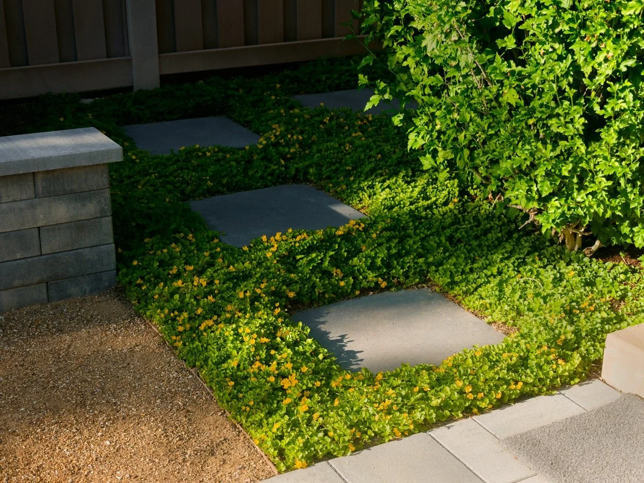 GROVER pavers 1 Large.jpeg