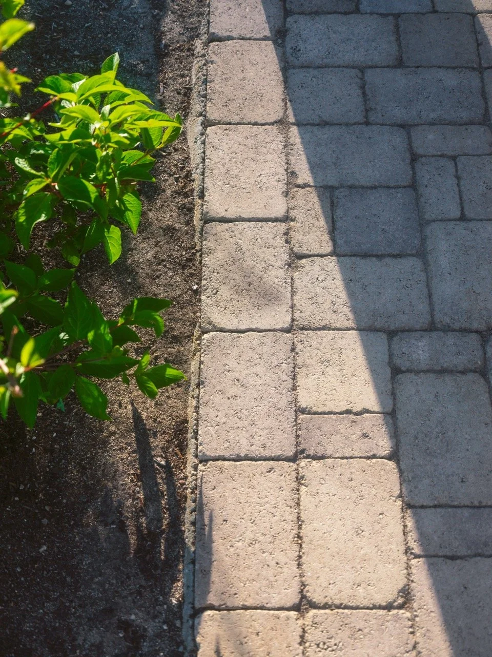 SHERRY pavers 1 Large.jpeg