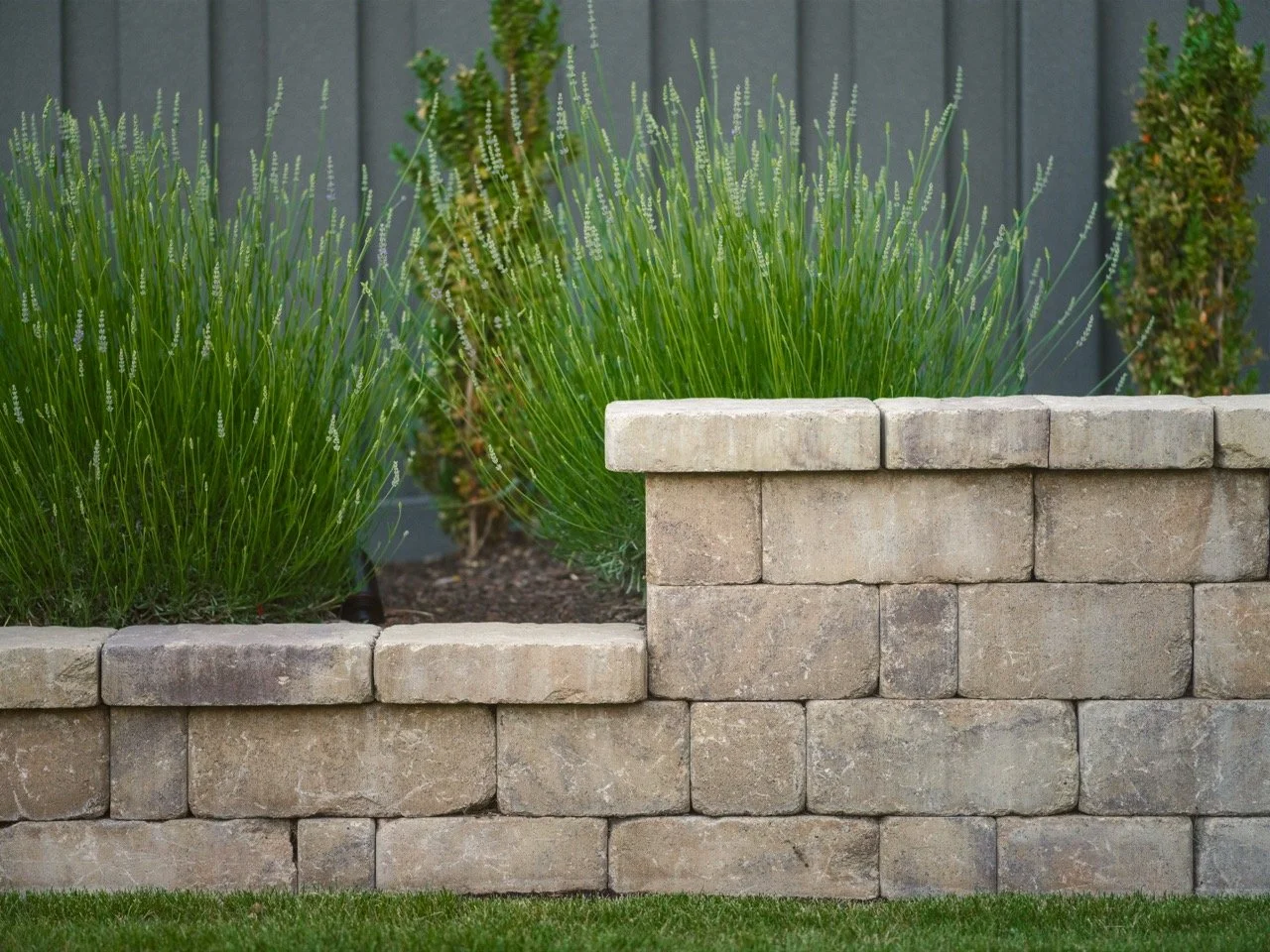 SHERRY pavers 3 Large.jpeg