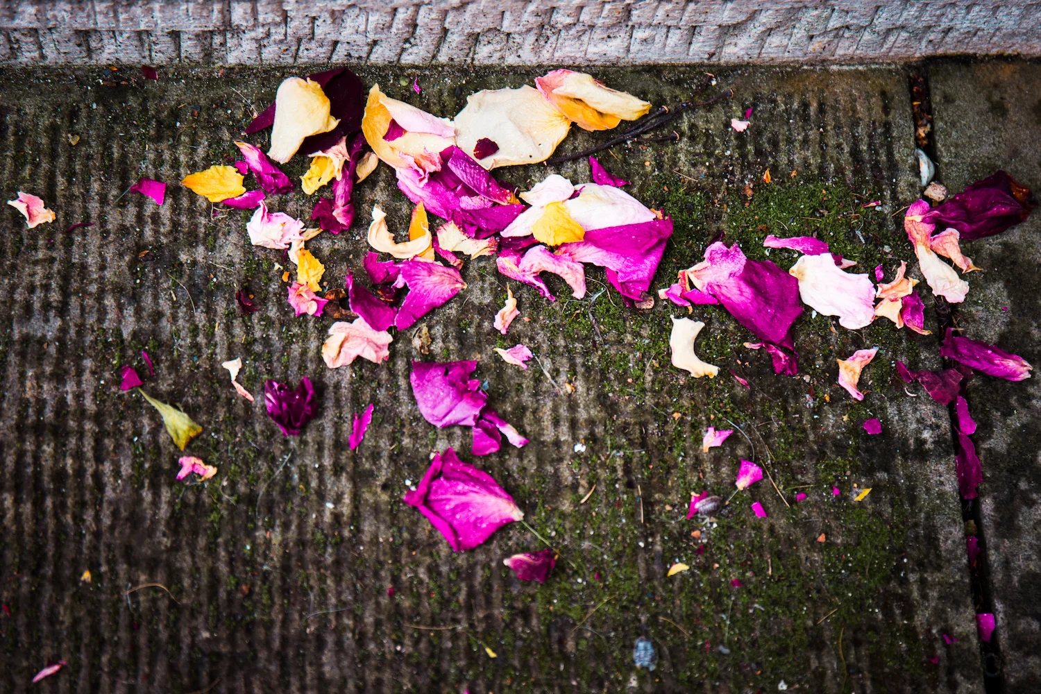 C+M Edinburgh Wedding 18
