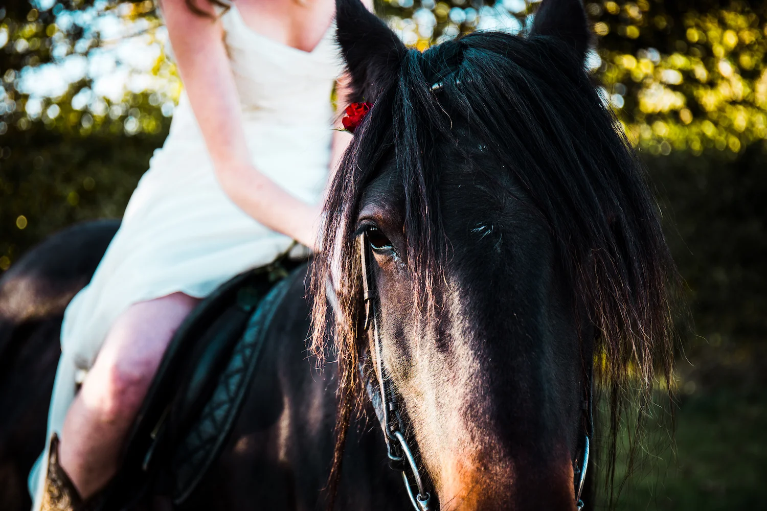 C+M Edinburgh Wedding 26
