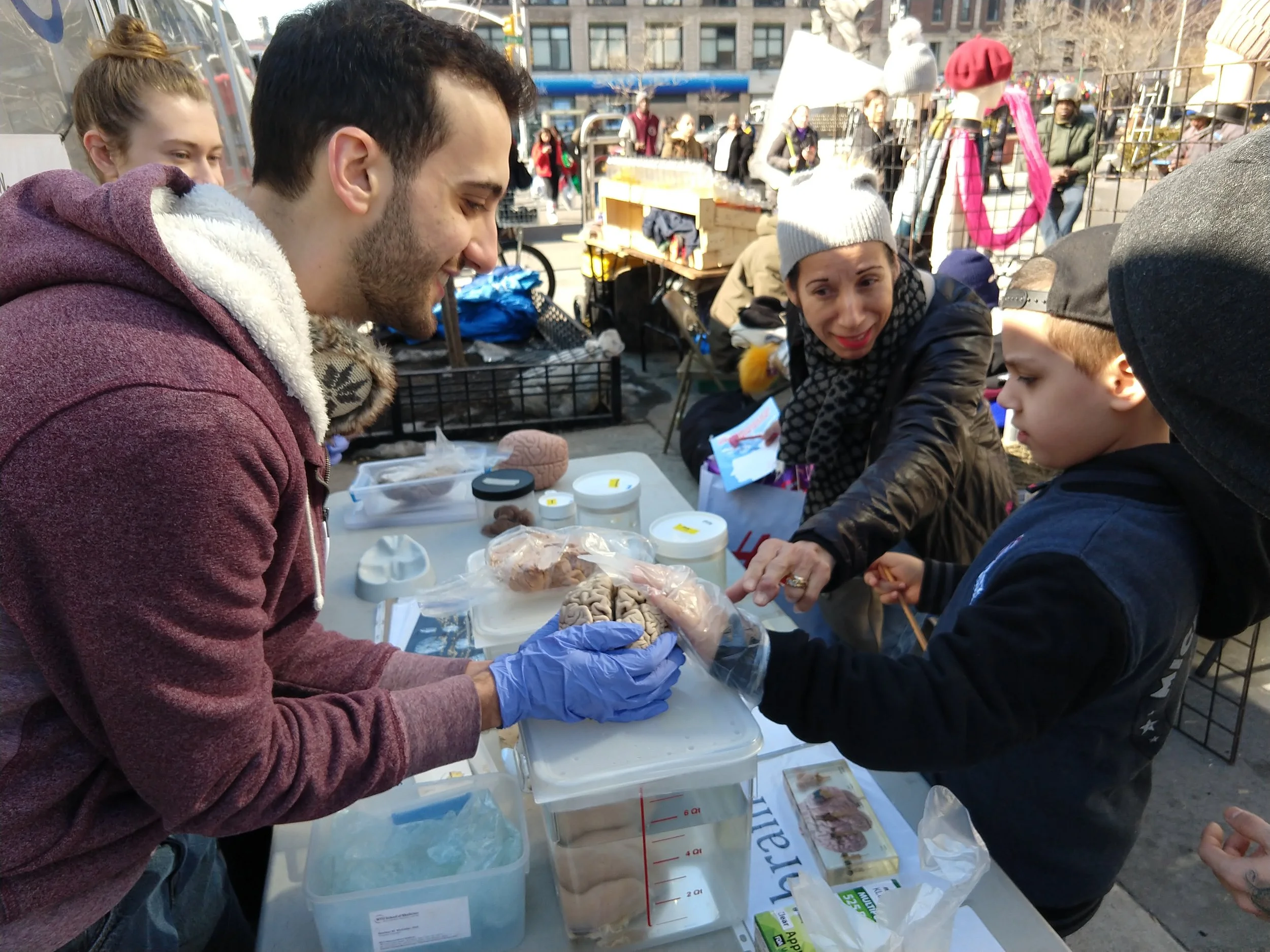 Brain Awareness with BioBus - March 9, 2019 Brain Awareness with BioBus - March 9, 2019 Photo by Brandon Barrera