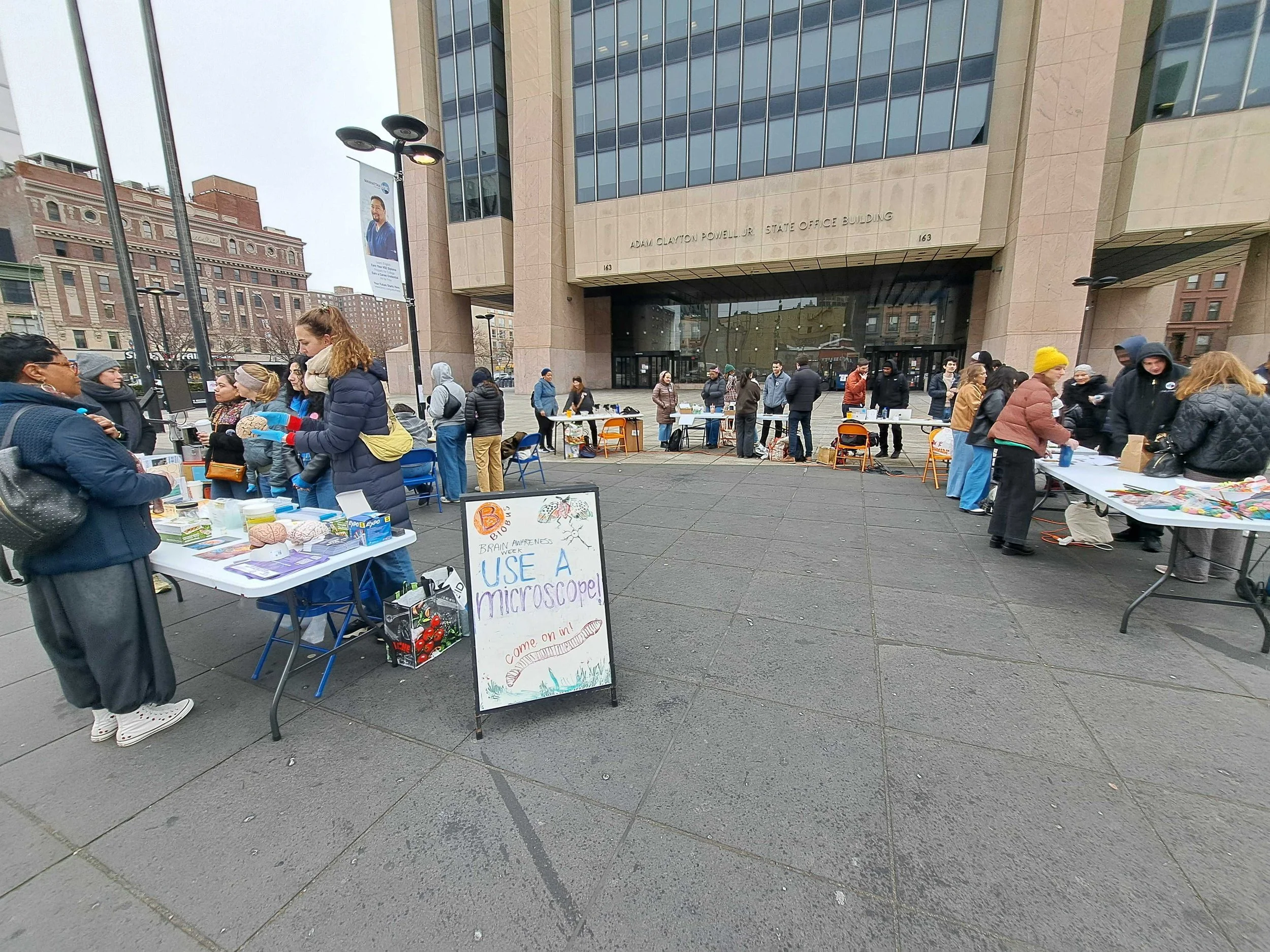 Reflecting on Brain Awareness Week 2025 