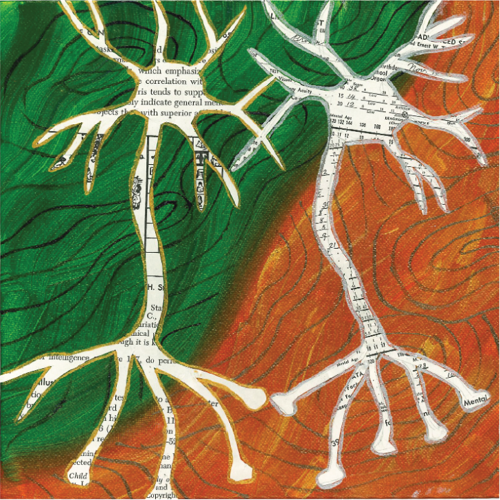 Narratives and Neuroscience: The Stories We Tell Ourselves