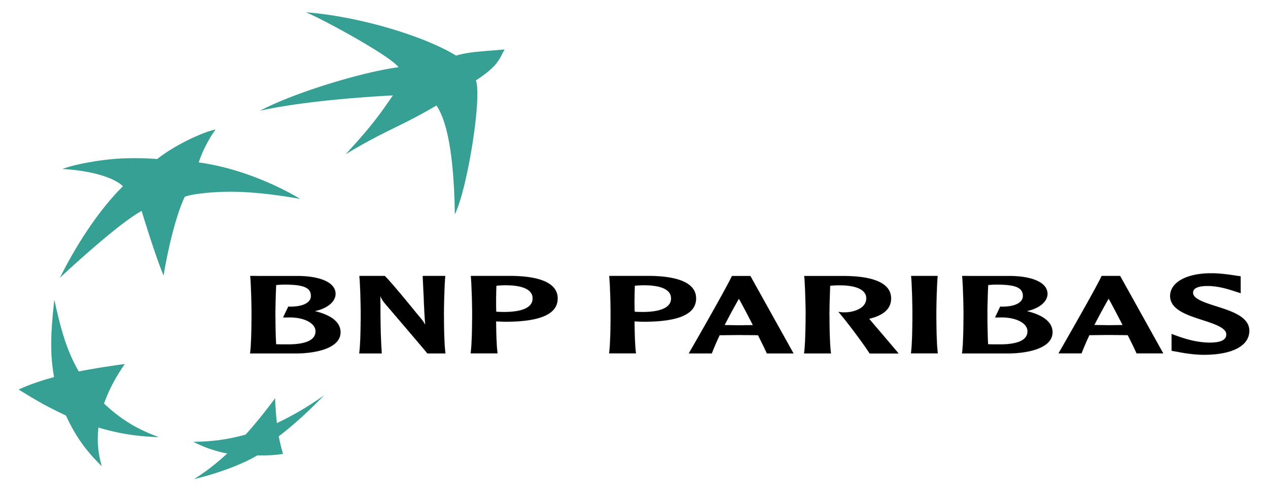 bnp-paribas.png