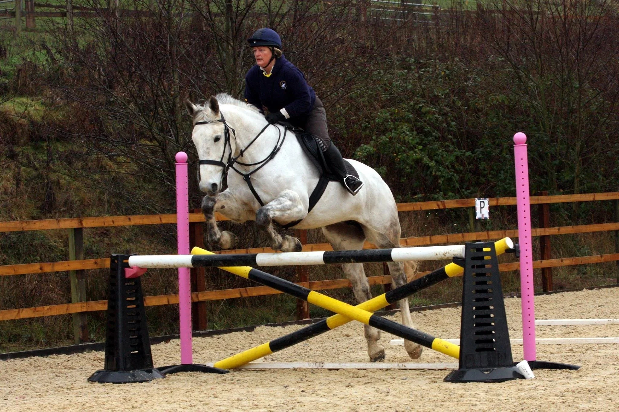 Mercian Showjumping At Highnam Court 