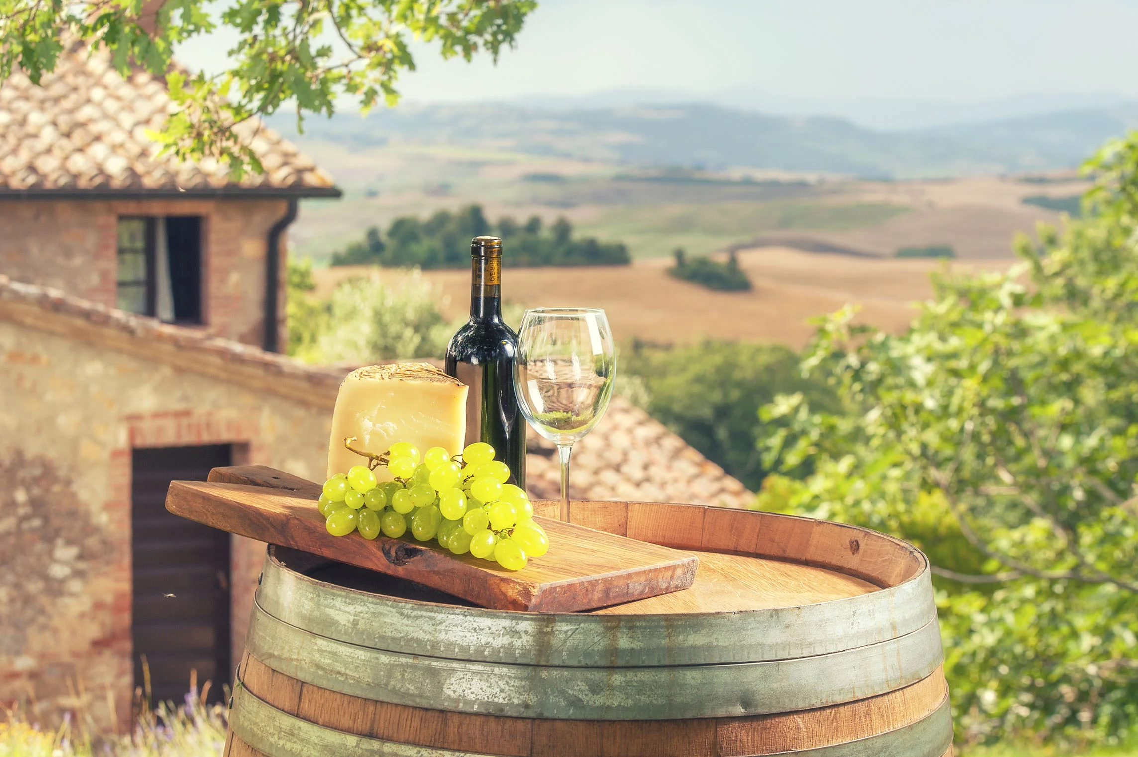 Italy-wine-grapes.jpg