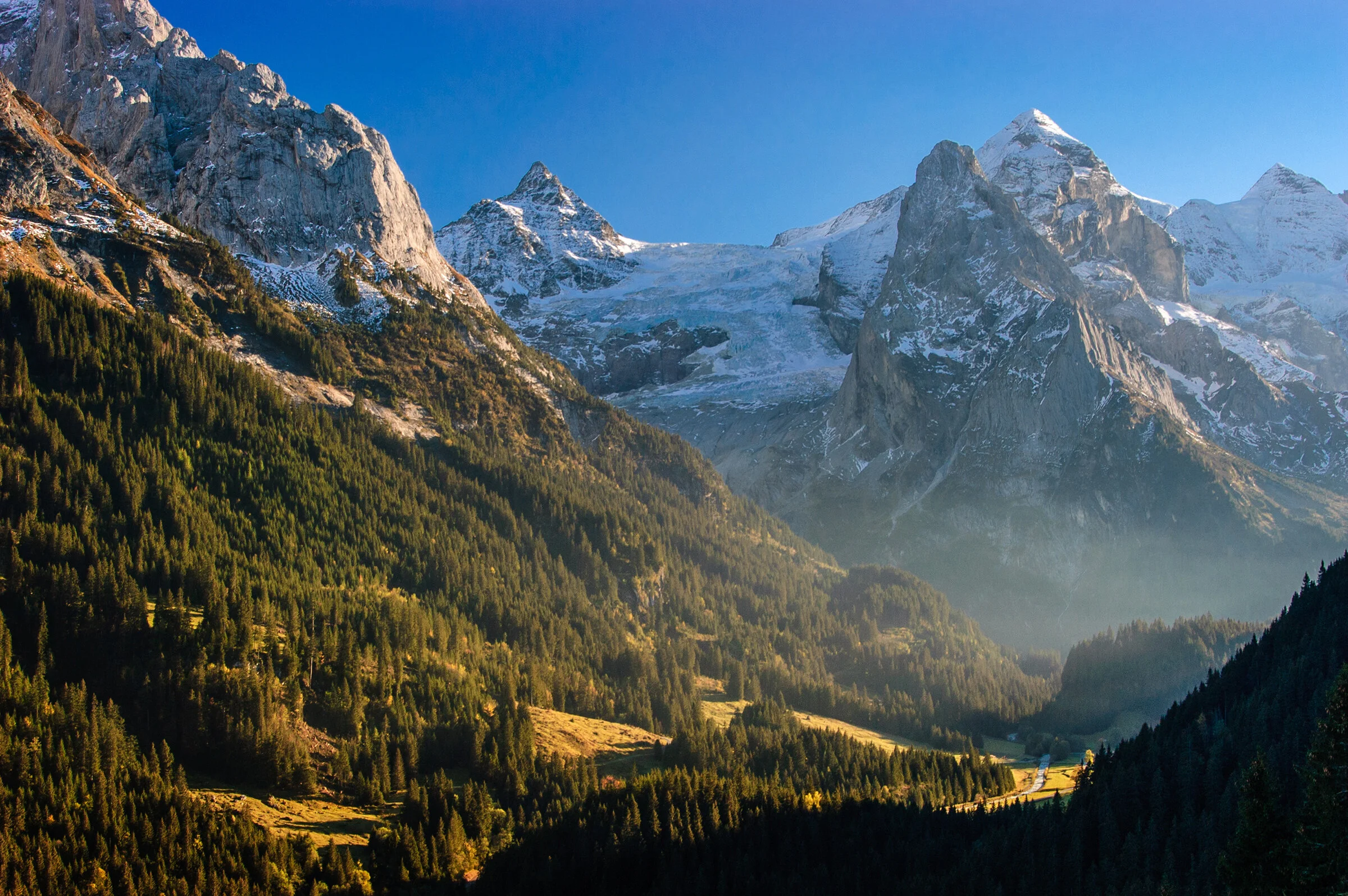 View of the Wetterhorn and Rosenlouwigletscher from Rosenlaui, Switzerland.